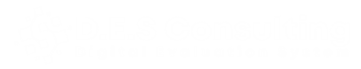 DES Consulting